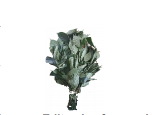 Editan leaf