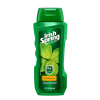 Irish Spring Body Wash 3 Irish spring body wash..